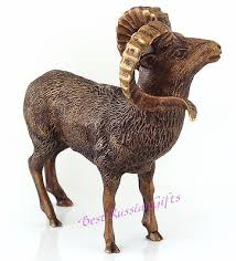 Геодук пениске ұқсайды