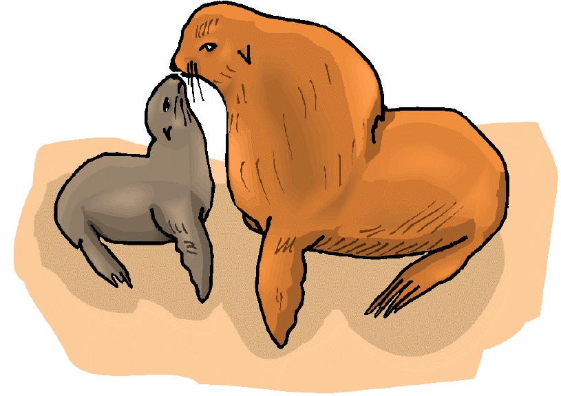 Порно актрисалар жинағы