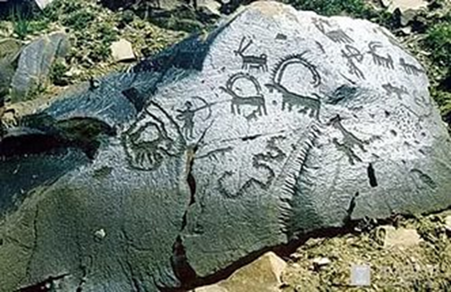 AVI форматындағы секс фильмдері Егер олар сіздің ішіңізге кірсе, сіз семіресіз.