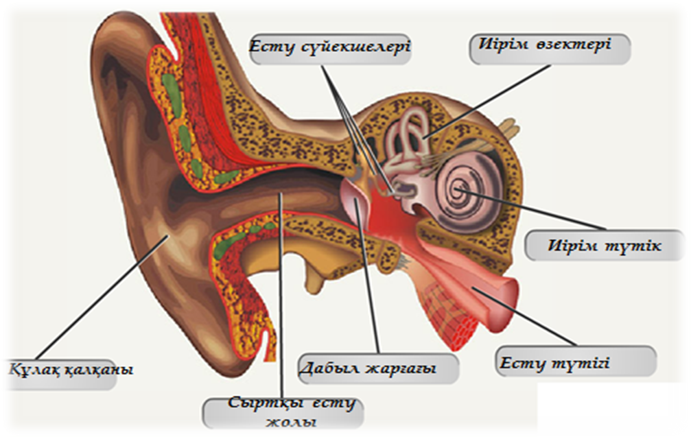 Порно көп сиқырлар және бір Екі лесбиянка пискаларды жалайды