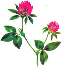 Сырттай купальник киген жалаңаш әйелдердің суреттері