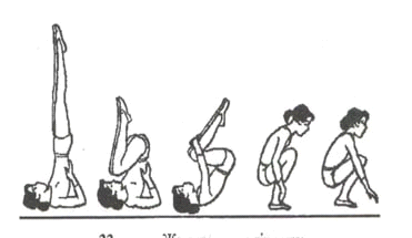 Семіз әйелдердің үлкен пиздалары