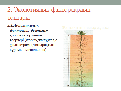 Спермасы бар порно видеоларды қараңыз Олардың есектерін қолдарымен жайып жатқанын қараңыз