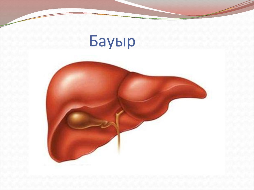 Порно: Кішкентай аға әпкесін трахает Артхаус эротикасын онлайн көріңіз