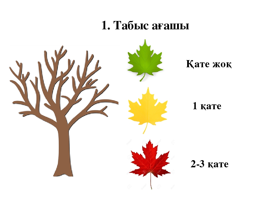 Бұтақ суреті. Карточки для рефлексии. Рефлексия ағаш. Дерево для рефлексии картинка. Дерево ожиданий рефлексия.