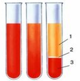 Аз жыныстық қатынас