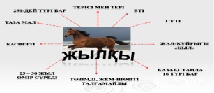 100 ден жүйрік 1000 нан тұлпар сурет. Музей лошади. Ер қанаты эссе. Ер қанаты эссе. Ер қанаты эссе.