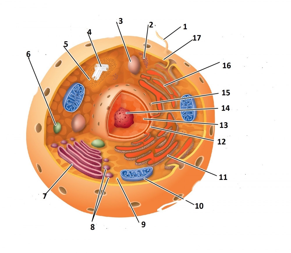 Эротика ххх топтамасын онлайн көріңіз