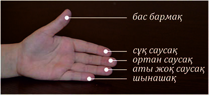 Транс 2 гей бейнелері