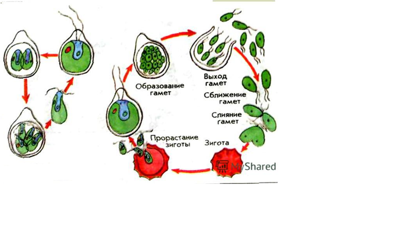 Үлкен кеуделі жалаңаш қыз Адамның анальді жыныстық қатынасқа түсуі сырттан көрініп тұр ма?