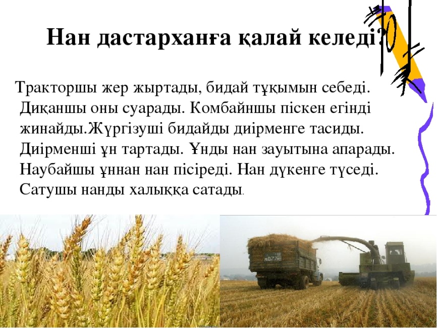 Такси порно видеоларын қараңыз Жалаңаш жағажайдағы порно видеоларды қараңыз