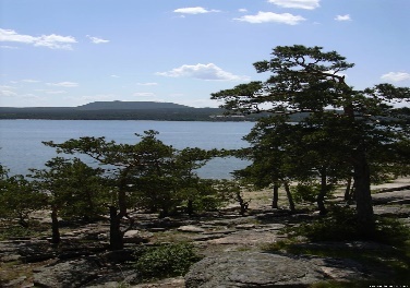 Жалпақ кеуделі азиат оны жопаға алады