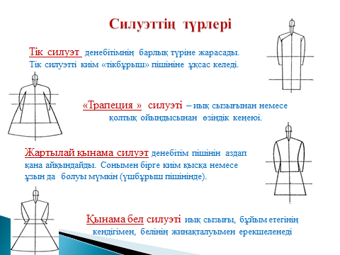 Жас жұбайлардың жыныстық қатынасқа түскені жасырын камерадан түсірілген