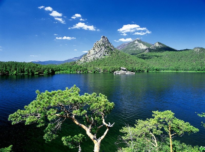 Порно жас шырынды мама ұлын азғырады