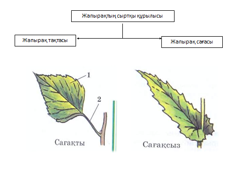 Видео онлайн порно фильм i oxens tecken