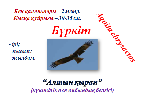 Ұл анасын желіде жыныстық қатынасқа түсуге көндірді