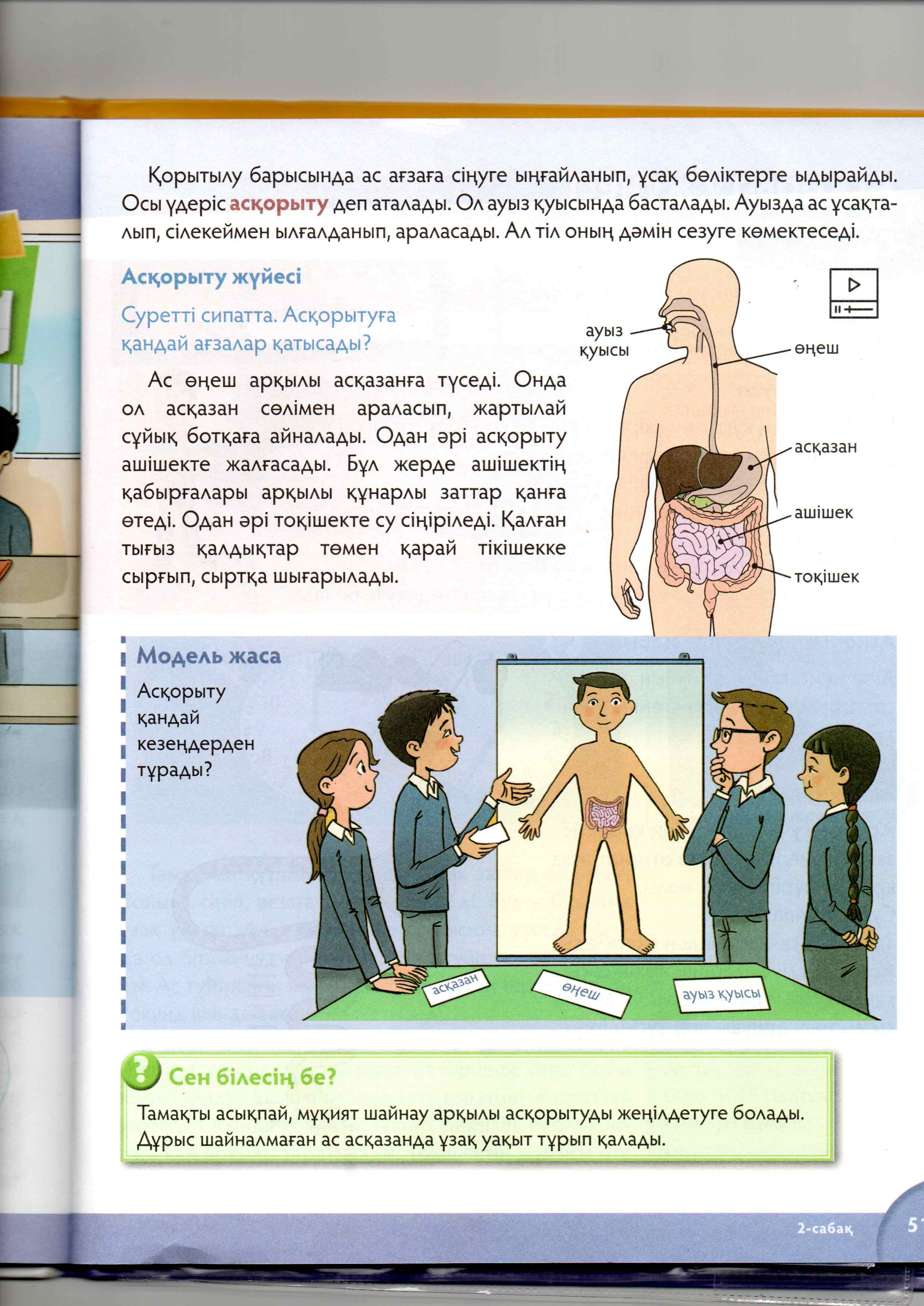 Елена Белоусова порно фото Жалаңаш семіз адамның суреті