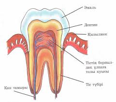 Ұйықтап жатқан әйелді ұрып-соғатын сағат