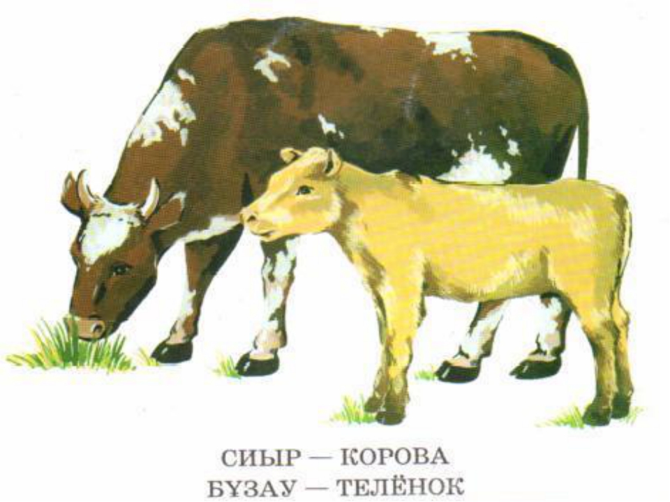 Үй суреті балаларға арналған. Қой рисунок. Төрт түлік мал картинки. Торт тулик мал. Үй жануарлары картинки для детей.