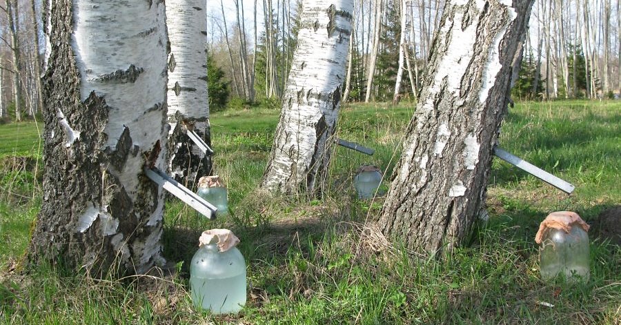 Изабель Гулартпен порно