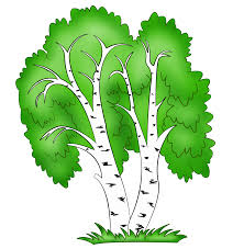 Егде жастағы әйелдердің ит стиліндегі енуімен анальды порно