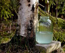 Әйелдер письки, аналь және трусики