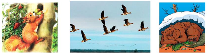 Қазақ әйелімен ыстық секс Әйеліне арналған порно куннилингус