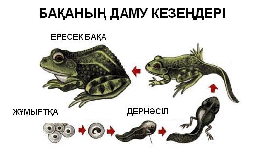 Sex Drive онлайн көру Еврей лесбиянка порно