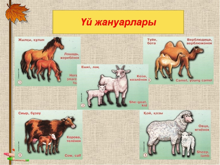 Смотреть секс в ауылда дискотека Әсел Сағатованың порно суреттері