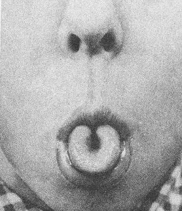 Ресейдегі ең танымал порно актрисалар