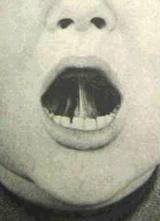 Үйдегі секс видео