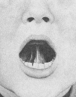 Ауыздың орнына порно қынап