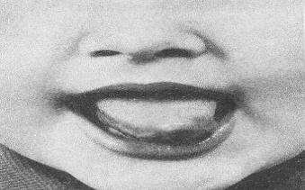 Виола бейнеленген орысша порно видео