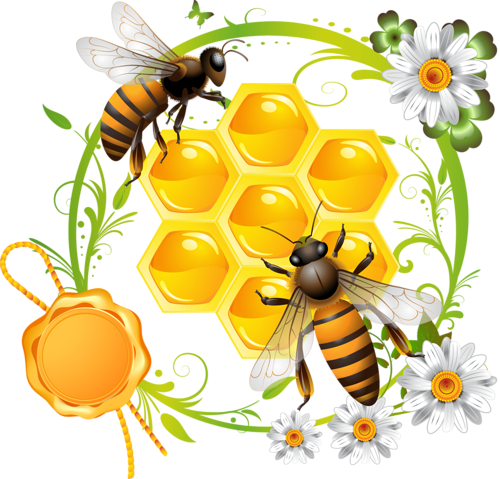 Жеке минет орыс фотосы