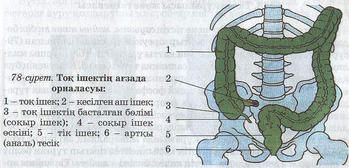Украинадағы жас порно
