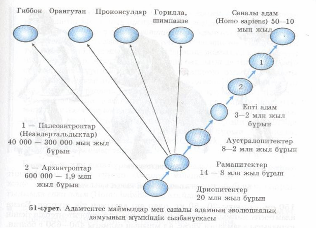 Итальяндық порно актрисалар онлайн фильмдер Қазақстандағы ең арзан жезөкшелер