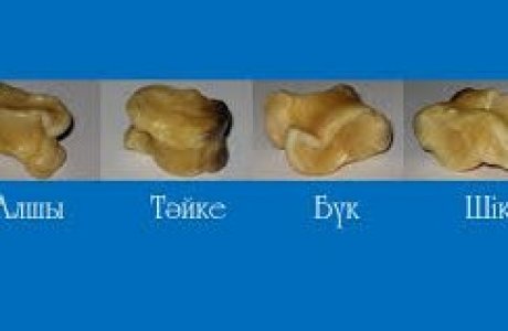 Фитнес нұсқаушысымен жыныстық қатынас бейне