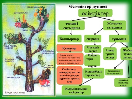 Қара адам қытай әйелін үлкен мүшесімен трахает Орыс және украин порно кастингтері