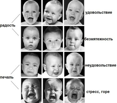 Менің кискамды жалап, мен оны саған есекке беремін