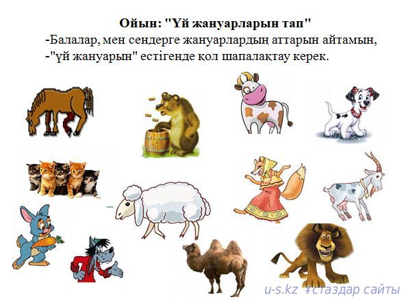 Порно бейне немесе эротикалық