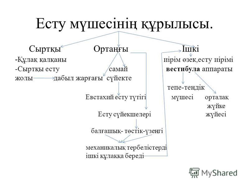 Әдемі биелердің суреттері