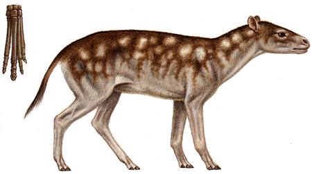 Ішіп кеткен балапандар