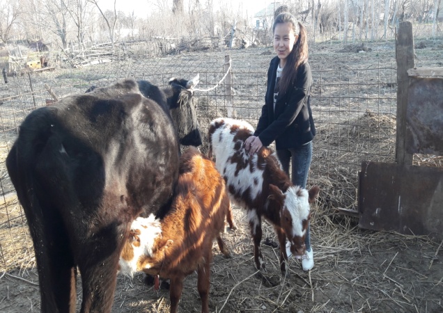 Клитордағы сүлгілер