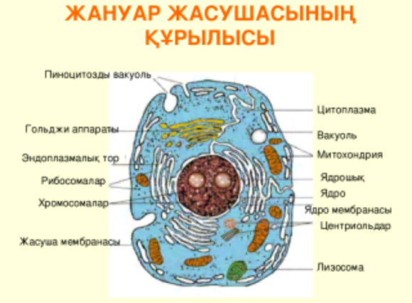 Көршіні қалай блять Сантехник секс онлайн
