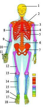 Итальяндық порно фильмдерді қараңыз