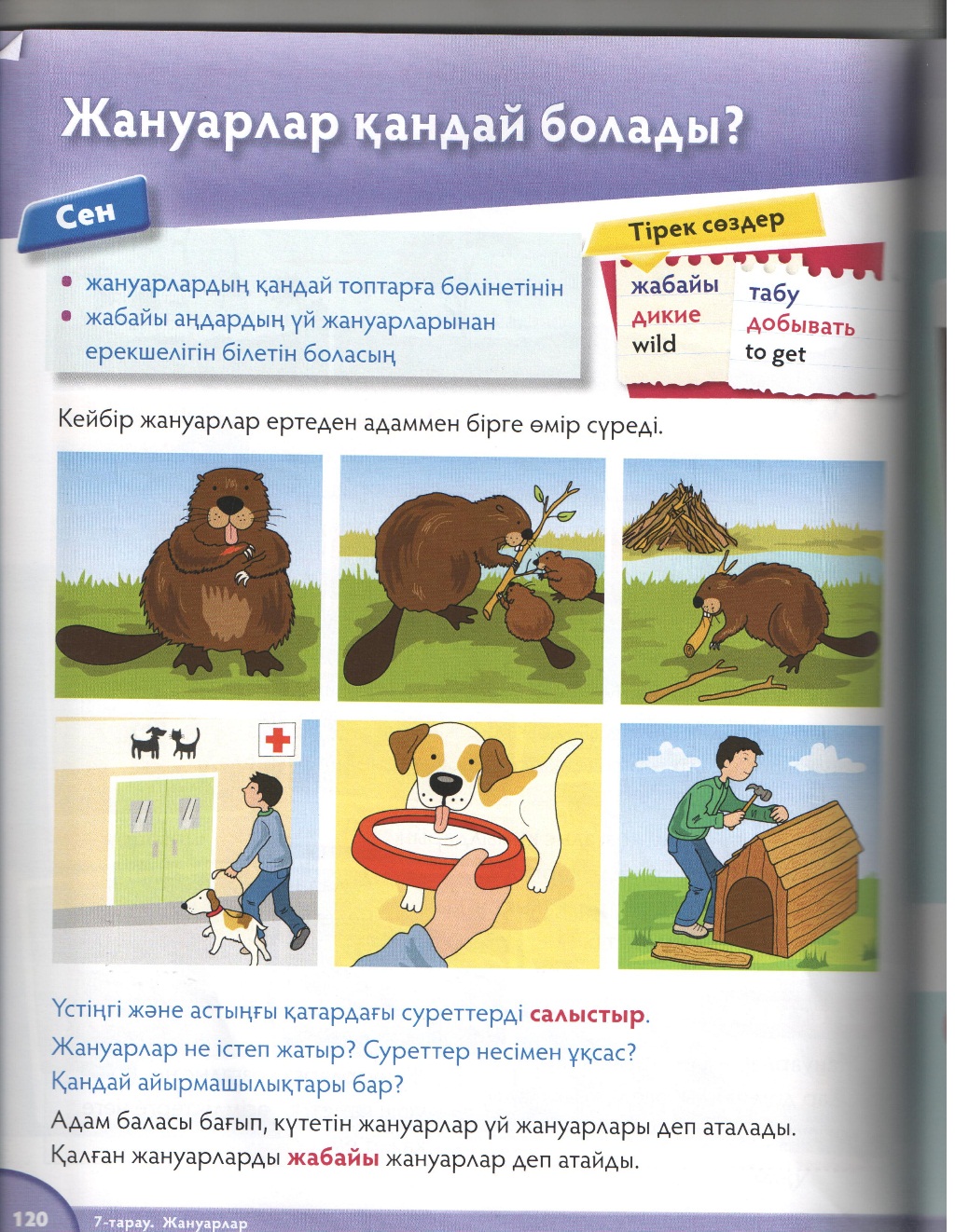 Түрік және орыс әйелдерінің порносы Порно фотосуреттер мен зәр шығару бейнелері