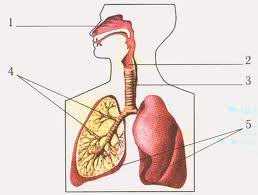 Екатерина Волкова порно видеода күйеуімен жыныстық қатынасқа түскен.
