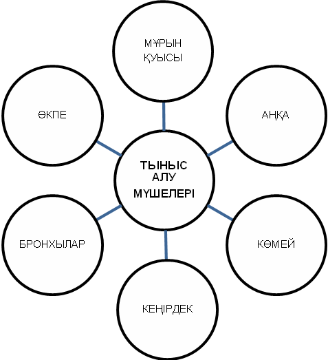 Ересектерге арналған секс фильмдер