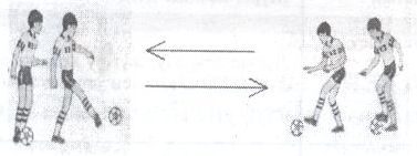 Допты пенисаға енгізу бейне