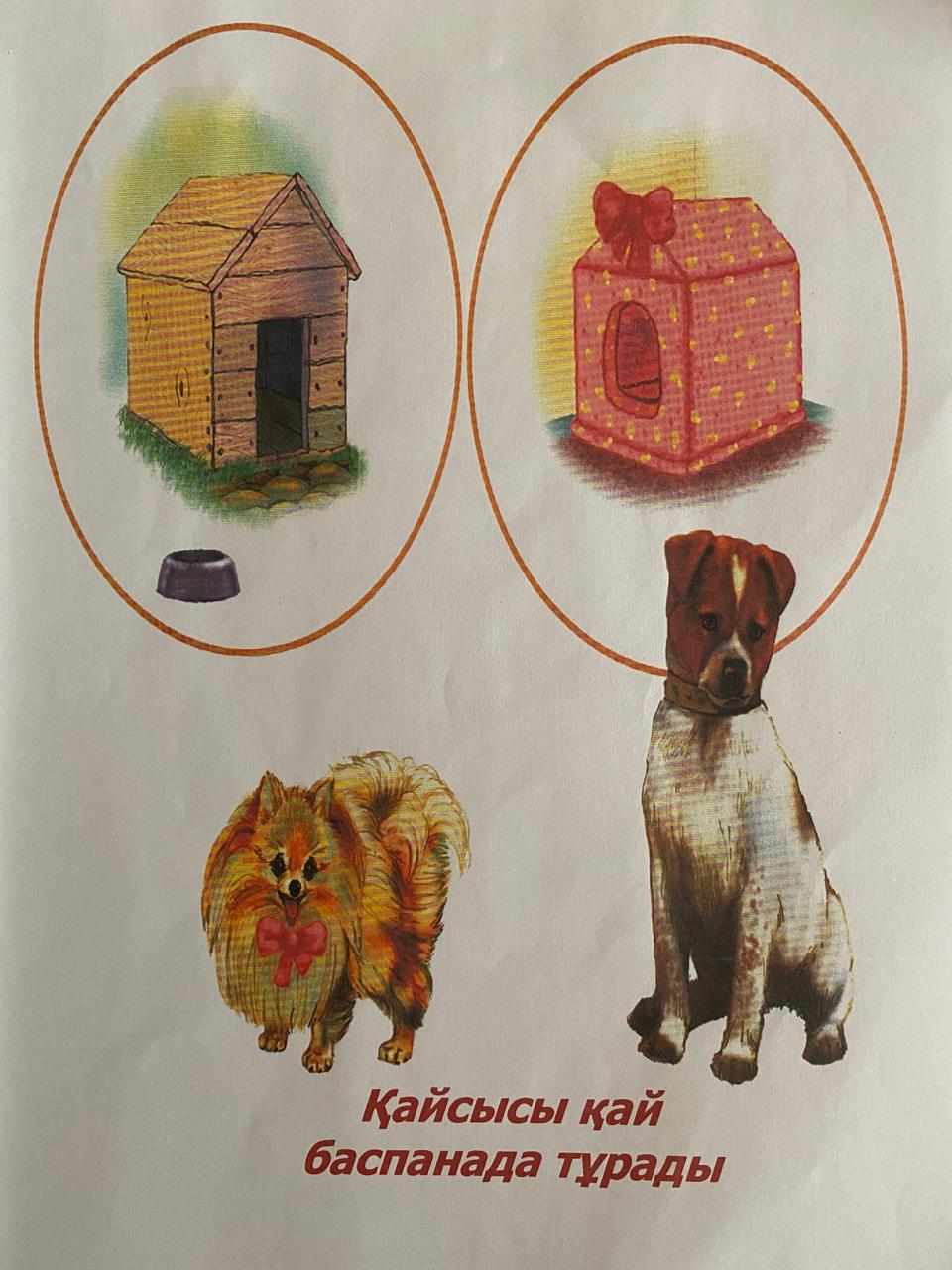 Эми Роузбен соңғы секс